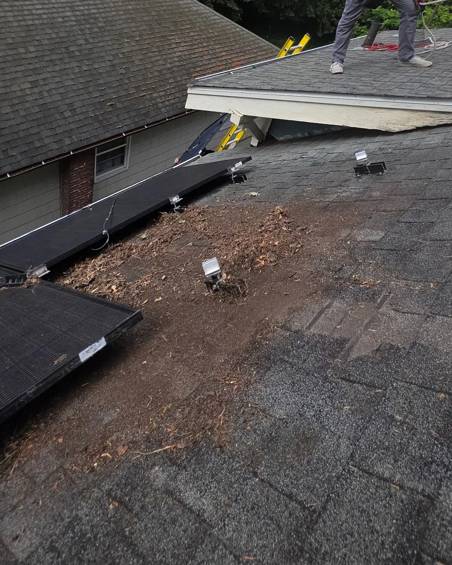 Debris and organic build-up exposed on the shingles after solar panels were lifted off, with mounting feet bolted through the roof